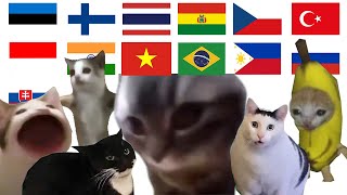 All Cat Memes in Different Languages Meme  chipi chipi chapa chapa [upl. by Sou]