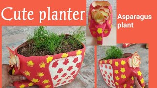 Cute planter and asparagus plant [upl. by Maidel18]