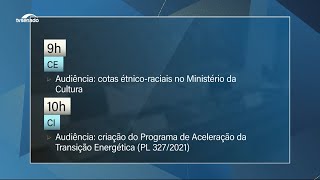 Cotas raciais na cultura e aceleração da transição energética são temas em debate nesta quinta [upl. by Holmun108]