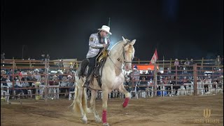 Caballos Bailadores show Jesús Uriarte en La Palma Sola [upl. by Ilaire]