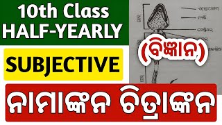 10th class half yearly exam 2024 science question paper  10th class half yearly exam 2024 [upl. by Baecher]