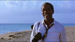 Ending Last Scene  The Shawshank Redemption 1994  Movie Clip HD Scene [upl. by Bussey]