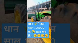 धान ने इस साल 100000 का loss कर दिया  farming mini vlog vidhisha Mandi farming ytshorts [upl. by Eanore]