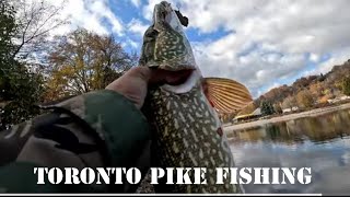 Pike Fishing Toronto Bluffers Park using Shimano Sedona Reel [upl. by Vite367]