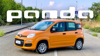 Ecco perché la FIAT PANDA fa PER TE se ami i ROTONDANGOLI [upl. by Nivonod]