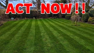 If you want a good lawn this spring do this NOW [upl. by Hanshaw305]