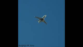 Bombardier Challenger 604 UVT Aero RA67228 approach to Vnukovo VKOUUWW 22062024 [upl. by Roban365]