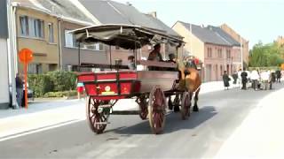 Belgian Draft Horses antique carts and decorated carriages in The quotMariaommegangquot in Kalfort [upl. by Lear]