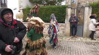 Carnaval de Mecerreyes  Desfile de trajes [upl. by Annahael694]