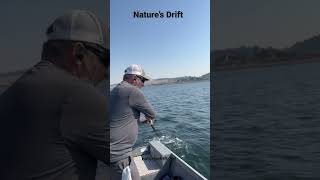 Wild A Chinook  Jumper  South Puget Sound Salmon Fishing  Vertical Jigging [upl. by Ibrahim]