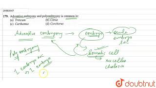 Adventive embryony and polyembryony is common in [upl. by Ellerret]