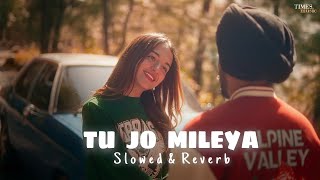 JUSS  Tu Jo Mileya Slowed amp Reverb MixSingh  New Punjabi Romantic Song 2024 [upl. by Ammeg]