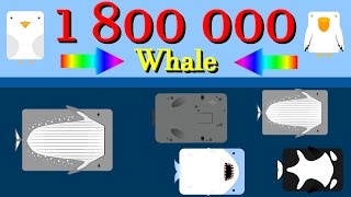 Deeeep io Whale attack 1 800 000 with the last animal [upl. by Whatley336]