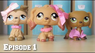 LPS HalfHearted Ep 1 Pilot  NEW SERIES [upl. by Ydnyl]