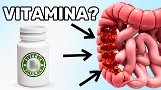 A Vitamina Nº 1 para Prevenir o Câncer de Intestino e Parar o Crescimento de Pólipos [upl. by Lleumas536]