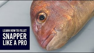 How to fillet skin and debone New Zealand snapper tāmure [upl. by Holds117]