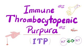 Immune Thrombocytopenia ITP — Most COMPREHENSIVE Explanation — Hematology [upl. by Rubliw]