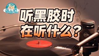 玩黑胶到底在玩什么？黑胶里的音乐更特别吗？What exactly is playing vinyl Is the music on vinyl more special【柴知道】 [upl. by Ellga]