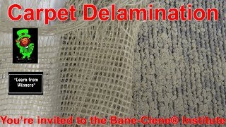 Delamination of Carpet  Causes and How to Correct from a BaneClene “Chemistry of Cleaning” seminar [upl. by Janey]