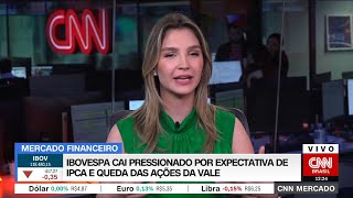 Ibovespa cai pressionado por expectativa de IPCA e queda das ações da [upl. by Oregolac]