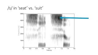 CSD3084 Coarticulation [upl. by Telimay]