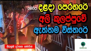 දළදා පෙරහරේ අලි කුලප්පුව  elephant rampageattack  ali kulappuwa  Esala perehera  SL Animal Hub [upl. by Tnert]