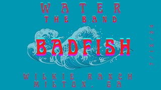 WATER  BADFISH COVER 71824 [upl. by Asiat]