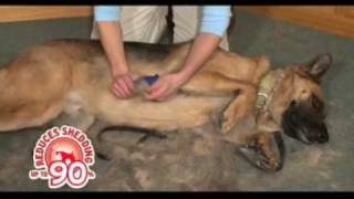 Andis Dog Grooming Deshedding  Andis Animal Clippers [upl. by Notnek]