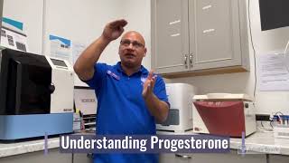 Understanding Canine Progesterone Levels  SoCal K9 Clinic [upl. by Airemat]