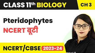 Pteridophytes  NCERT बूटी  Plant Kingdom  Class 11 Biology Chapter 3  NCERTCBSE [upl. by Einnoj]