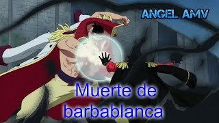 one piece muerte de barbablanca AMV [upl. by Eidnalem614]