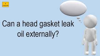 Can A Head Gasket Leak Oil Externally [upl. by Atteirneh870]