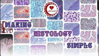 Connective Tissuepart 1HistologyDone by  Mohammad Al Ajory [upl. by Lunt939]