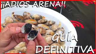 Como LIMPIAR las ALMEJAS antes de cocinarlas y QUITARLES la ARENA Guía Definitiva ✅ [upl. by Anaidni689]