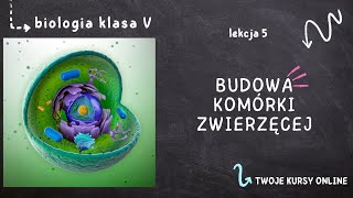 Biologia klasa 5 Lekcja 5  Budowa komórki zwierzęcej [upl. by Wendalyn582]