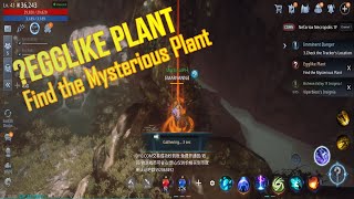 MIR4 EGGLIKE PLANT  FIND THE MYSTERIOUS PLANT  Quest Guide [upl. by Eldoria]