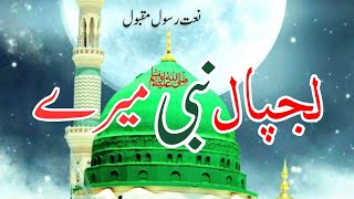 Lajpal Nabi Mery Darda Di Dawa Dena  Naat sharif [upl. by Annawt957]