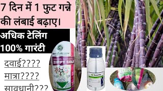 गन्ने में जिब्रेलिक एसिड। गन्ने से ज्यादा पैदावार किल्ले। अधिक ग्रोथ।GibberellicAcid0001 [upl. by Bortman59]