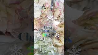 Get Christmas ready christmas merrychristmas christmasdecor fyp viralvideo [upl. by Elton]