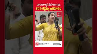 ఎందుకు అడ్డుపడుతున్నారు కడప రెడ్డమ్మ ఉగ్రరూపం shortsfeed shorts reporttodaytv [upl. by Lynea662]