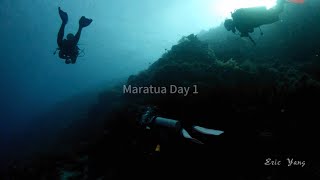 Diving Trip  Maratua Day 1  Maratua reef amp Fusuliar Paradise 20230527 [upl. by Awahsoj]