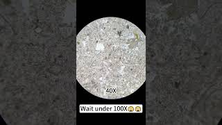 Beef bone magnified 400X is seriously awesomeunderthemicroscope science microscope [upl. by Voss]