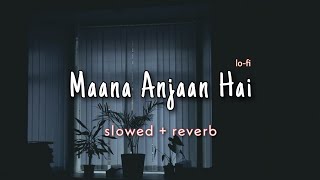 Maana Anjaan Hai  Slowed  Reverb 90s Melodies Song [upl. by Alexa]