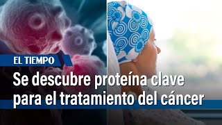 Investigadores descubren una proteína que ayudaría al tratamiento del cáncer  EL TIEMPO [upl. by Garnet]