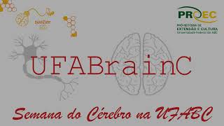 Desenvolvimento do sistema nervoso  Mielinização [upl. by Rika]