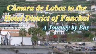 Câmara de Lobos to Funchal Lido by Bus [upl. by Livvie]