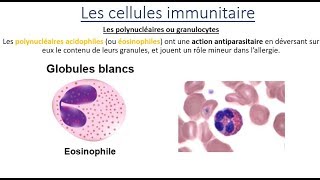 Partie 1 Immunologie Le système immunitaire بالدارجة [upl. by Etnud]