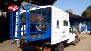 Animal Ambulance Van By Maniar Engineers Pvt Ltd Ahmedabad [upl. by Notserc]