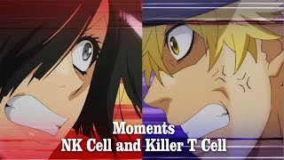 Killer T Cell and NK Cell【 Hataraku Saibou Episode 6  7 】 [upl. by Strang]