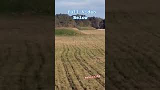 Exploring Alabama Native American Mounds shorts youtubeshorts nativeamerican [upl. by Rodie793]